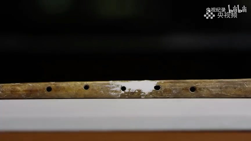 9000年前用鹤骨做成的乐器.mp4_20250328_102842.577.jpg